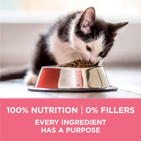 Purina One +Plus Healthy Kitten Formula for Kittens, 3.5 lb Bag EasyOptionXY LLC