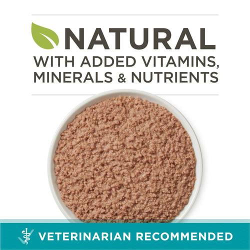 Purina One Healthy Kitten Wet Cat Food for Kittens Chicken Salmon, 3 oz Cans (12 Pack) EasyOptionXY LLC