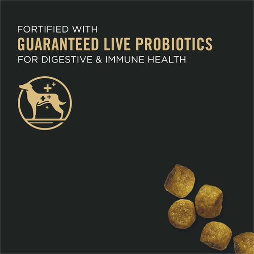 Purina Pro Plan Chicken and Rice for Puppies, 5 lb Bag EasyOptionXY LLC