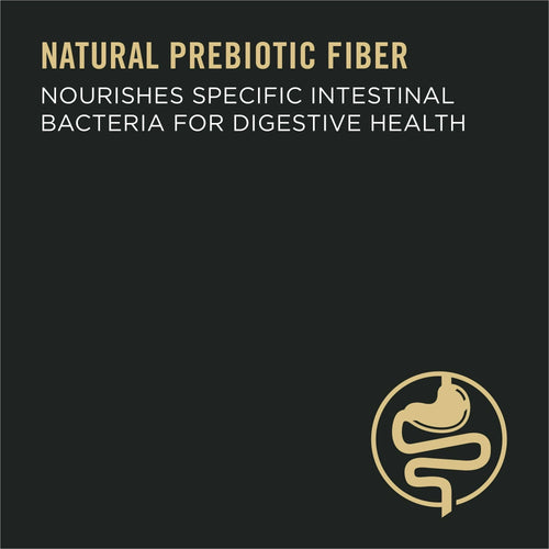 Purina Pro Plan Senior Adult 7+ Complete Essentials Shredded Blend Beef & Rice Formula High Protein Dog Food EasyOptionXY LLC