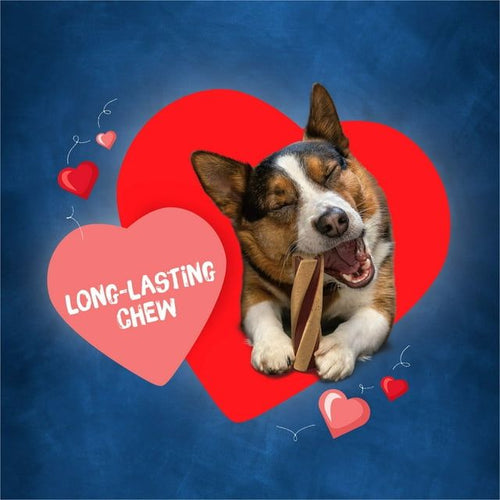 Purina Busy With Beggin Real Bacon Long Lasting Chew for Dogs, 36 oz Pouch EasyOptionXY LLC