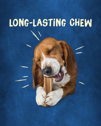 Purina Busy Original Long Lasting Chew for Dogs, 5 oz Pouch EasyOptionXY LLC