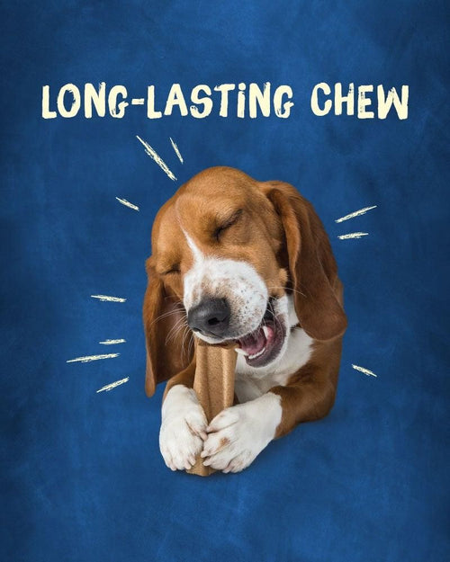 Purina Busy Original Long Lasting Chew for Dogs, 5 oz Pouch EasyOptionXY LLC