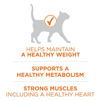 Purina One +Plus Ideal Weight High Protein Dry Cat Food Turkey, 16 lb Bag EasyOptionXY LLC