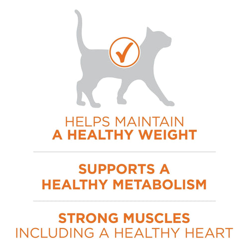 Purina One +Plus Ideal Weight High Protein Dry Cat Food Turkey, 16 lb Bag EasyOptionXY LLC