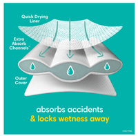 Pampers Easy Ups Training Underwear Boys Size 4 2T-3T, 25 Count EasyOptionXY LLC