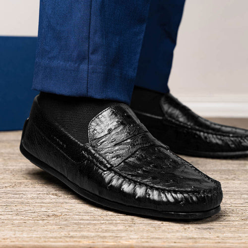 Zelli Italia Zelli Italia 33-100-BLK MONZA Ostrich Quill Driver, Black