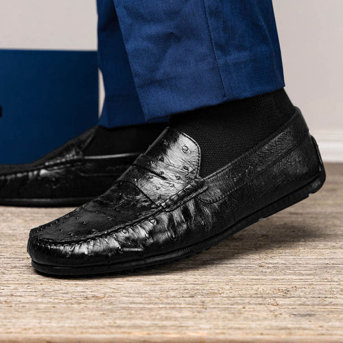 Zelli Italia Zelli Italia 33-100-BLK MONZA Ostrich Quill Driver, Black