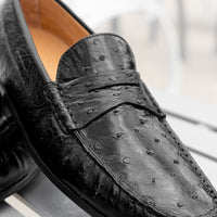 Zelli Italia Zelli Italia 33-100-BLK MONZA Ostrich Quill Driver, Black