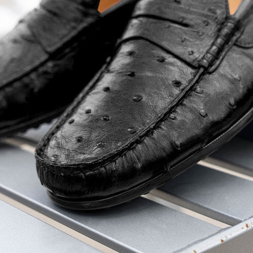 Zelli Italia Zelli Italia 33-100-BLK MONZA Ostrich Quill Driver, Black