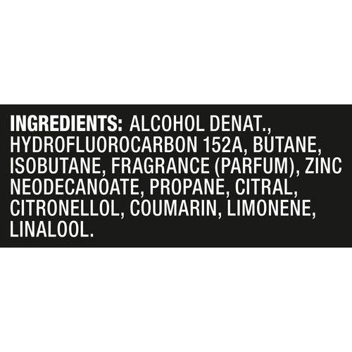 Axe Deodorant Body Spray for Men Apollo Sage & Cedarwood, 5.1 oz Twin EasyOptionXY LLC