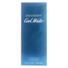 Davidoff Cool Water Eau De Toilette, Cologne for Men, 4.2 Oz EasyOptionXY LLC
