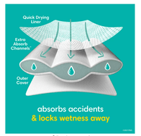 Pampers Easy Ups Training Underwear Girls Size 6 4T-5T, 18 Count EasyOptionXY LLC