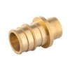 PEX A Expansion 3/4" PEX x 3/4" Female Sweat F1960 Adapter (Lead Free) Plumbingsell