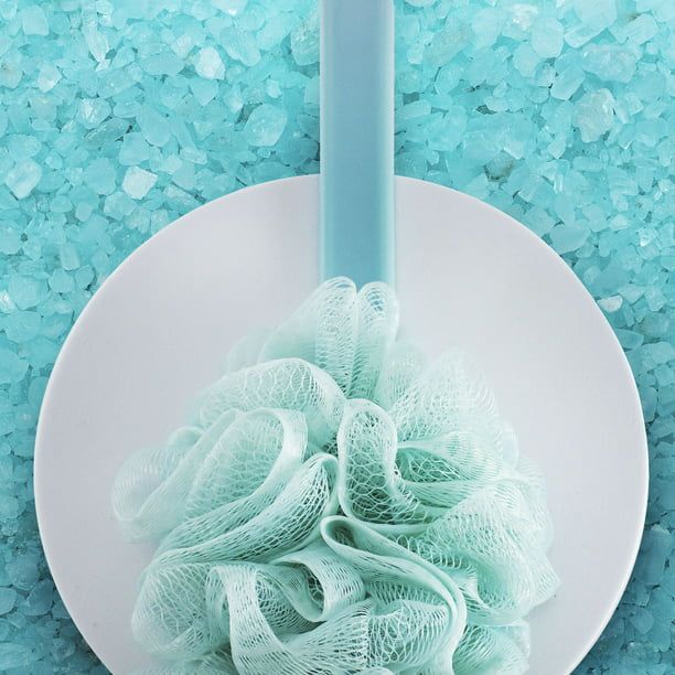 Mesh Back Brush w/ Mesh Sponge EasyOptionXY LLC