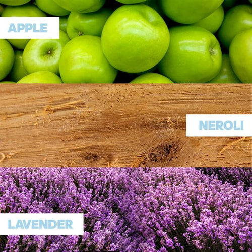 adidas Moves Eau de Toilette, Cologne for Men, 1.7 Oz EasyOptionXY LLC