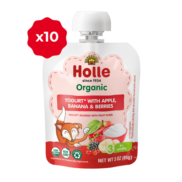 Holle Organic Yogurt Pouches - Apple, Banana & Berries Holle USA