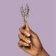 Poo~Pourri Lavender Vanilla, Lavender + Vanilla + Citrus Before-You-Go Toilet Spray, 2 Oz (Odor eliminating Air Freshener) EasyOptionXY LLC