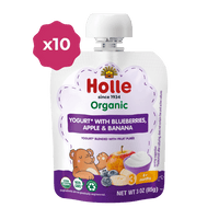 Holle Organic Yogurt Pouches - Blueberries, Apple & Banana Holle USA