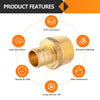 PEX-B Crimp 1" PEX x 1" NPT Male Threaded Adapter (Lead Free) Plumbingsell