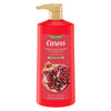 Caress Body Wash with Pump Tahitian Pomegranate & Coconut Milk, 25.4 oz EasyOptionXY LLC