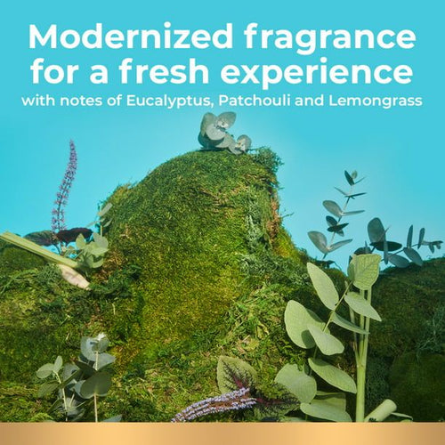 Irish Spring Bar Soap for Men, Original Clean Mens Bar Soap, 8 Pack, 3.7 oz EasyOptionXY LLC