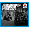 Valvoline 4-Stroke ATV/UTV SAE 10W-40 Motor Oil 1 QT EasyOptionXY LLC