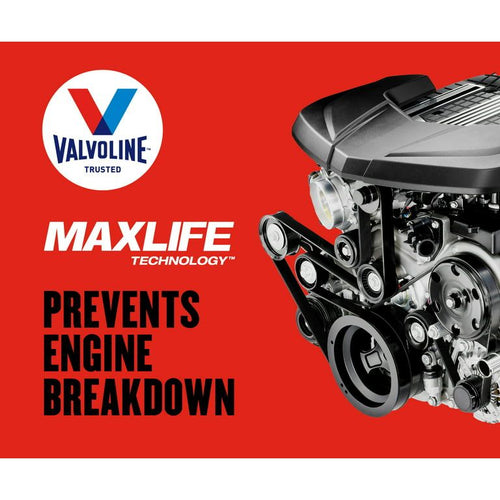Valvoline High Mileage MaxLife 10W-30 Synthetic Blend Motor Oil 1 QT EasyOptionXY LLC