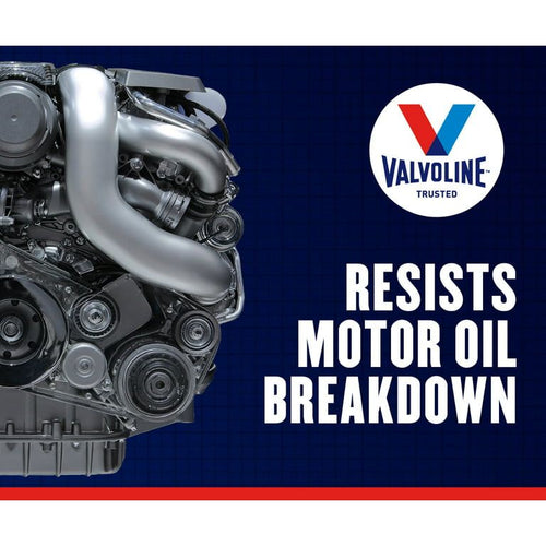 Valvoline Daily Protection 5W-30 Syntheic Blend Motor Oil 1 QT EasyOptionXY LLC