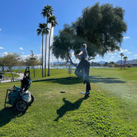 Revolution Mini Deluxe V3 Disc Golf Bag - Golden Dream Gotta Go Gotta Throw