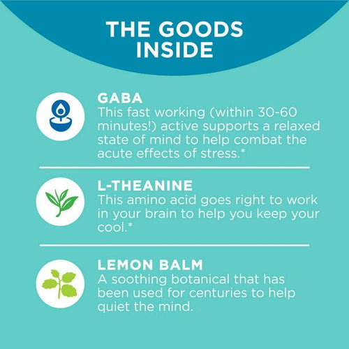 OLLY Goodbye Stress Gummy, GABA, L-Theanine, Lemon Balm, Berry, 42 Count EasyOptionXY LLC