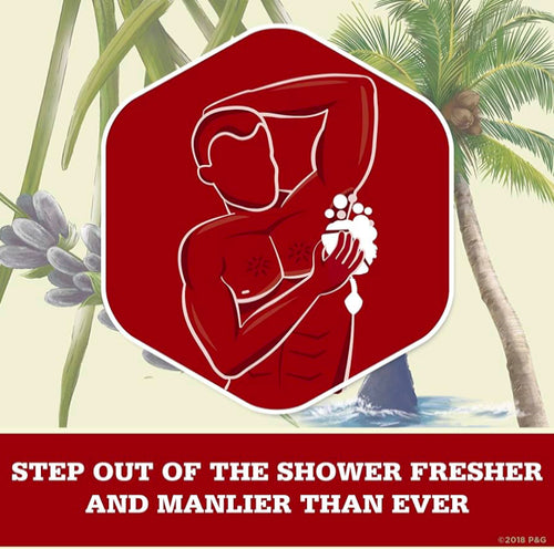 Old Spice Fresher Fiji Body Wash for Men - 16 oz, 4-Pack