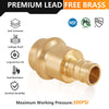 1/2" Press x 1/2" PEX Crimp Brass Adapter (Lead Free) Plumbingsell