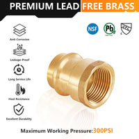 1/2" Press x 1/2" Female Brass Adapter (Lead Free) Plumbingsell