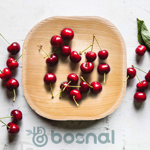 Bosnal - Palm Leaf Biodegradable Plates, 4 inch, Square Bosnal