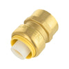 1/2" x 1/2" F Push FIt Female Adapter Plumbingsell