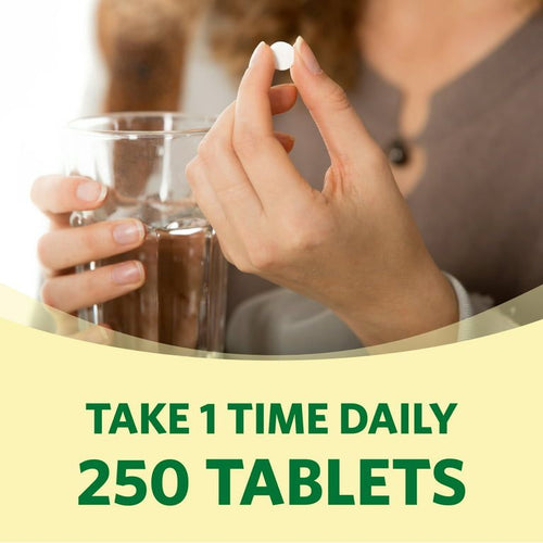 Spring Valley Vitamin B6 Supplement, 100 mg, 250 Count EasyOptionXY LLC