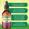Spring Valley 100% Pure Tea Tree Oil for Skin Health, Liquid Supplement, 4 fl oz EasyOptionXY LLC