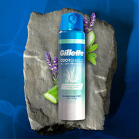 Gillette Aluminum Free ODOR SHIELD Men's Spray Woodland Falls + Aloe Vera, 4.3 oz EasyOptionXY LLC