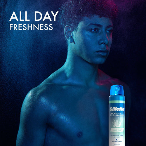 Gillette Aluminum Free ODOR SHIELD Men's Spray Woodland Falls + Aloe Vera, 4.3 oz EasyOptionXY LLC
