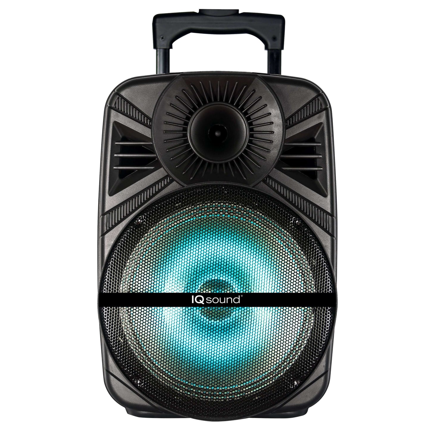 12" Portable Bluetooth Speaker with True Wireless Technology