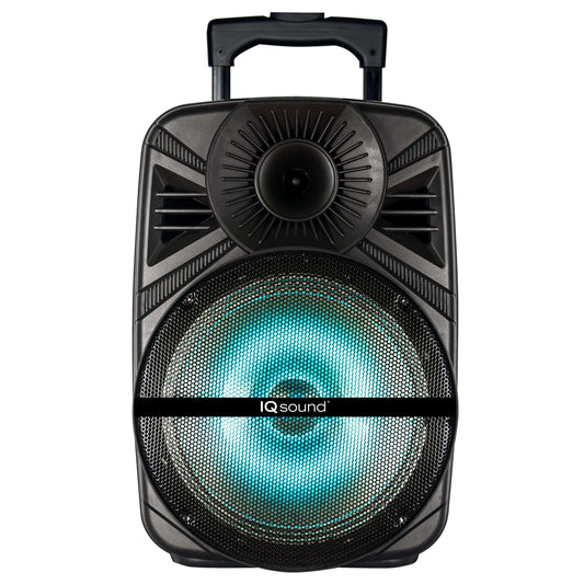 12" Portable Bluetooth Speaker with True Wireless Technology