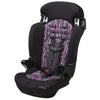 Cosco Finale 2-in-1 Booster Car Seat, Icicles EasyOptionXY LLC