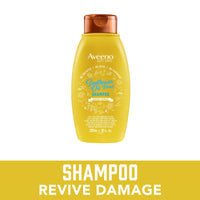Aveeno Sunflower Oil Blend Moisturizing Nourishing Daily Shampoo, Red Currant Sugared Peony Vanilla, 12 fl oz EasyOptionXY LLC