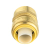 3/4" x 3/4" F Push Fit Female Adapter Plumbingsell