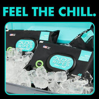 DUDE Wipes Flushable Wipes, XL Wet Wipes Travel Pack, Mint Chill, 18 Count EasyOptionXY LLC