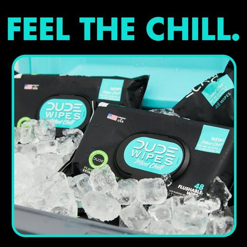 DUDE Wipes Flushable Wipes, XL Wet Wipes Travel Pack, Mint Chill, 18 Count EasyOptionXY LLC