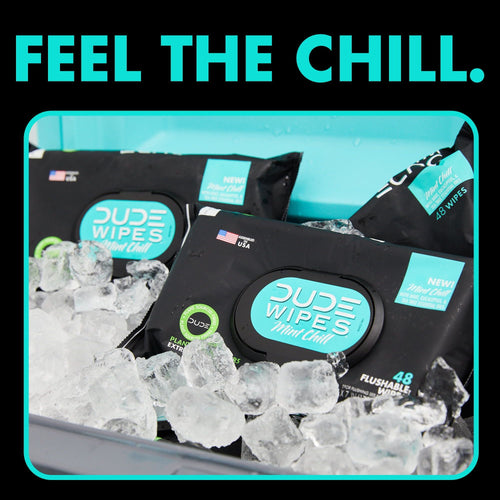 DUDE Wipes Flushable Wipes, Mint Chill XL Wet Wipes to Use with Toilet Paper, 48 Count EasyOptionXY LLC