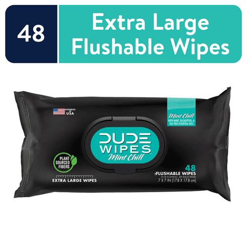 DUDE Wipes Flushable Wipes, Mint Chill XL Wet Wipes to Use with Toilet Paper, 48 Count EasyOptionXY LLC