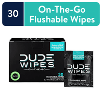 DUDE Wipes Flushable Wipes, XL On-The-Go Wet Wipes, Mint Chill, 30 Count EasyOptionXY LLC